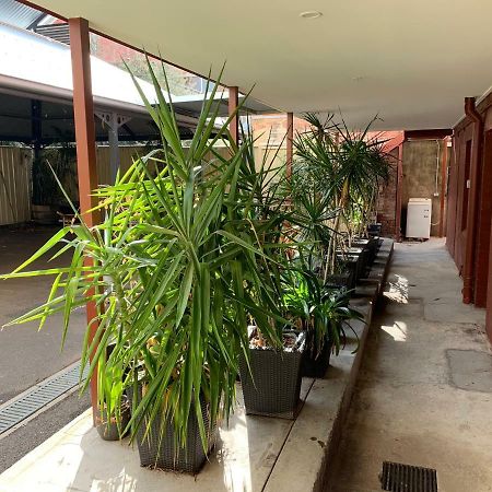 Crown Cbd Motel - City Location Bendigo Exterior photo