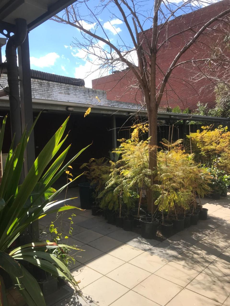 Crown Cbd Motel - City Location Bendigo Exterior photo